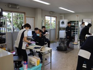 IMG_0227 - コピー.JPG