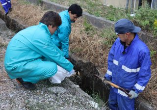 R7恒例の秋の側溝清掃