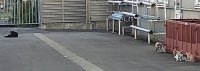 DSC_4205 - コピー.JPG